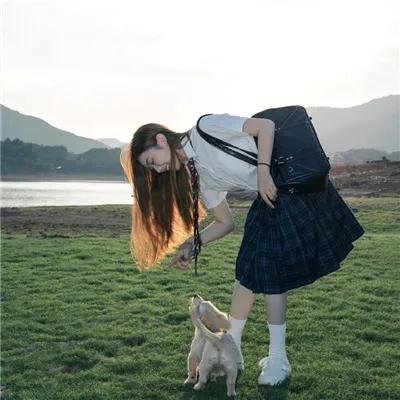 摇滚藏獒蓝色光芒